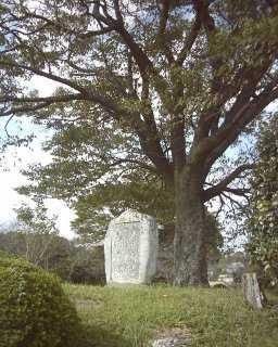 忠盛塚