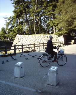 自転車の老人
