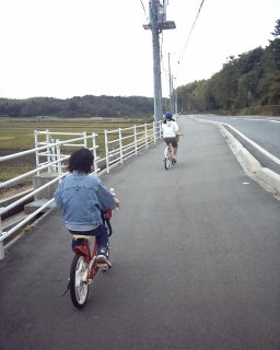 田舎道